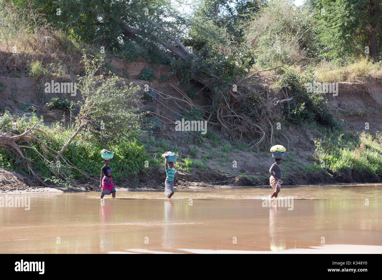 Three local women crossing the Limpopo river on foot balancing a large basin on their heads carrying washing Stock Photo