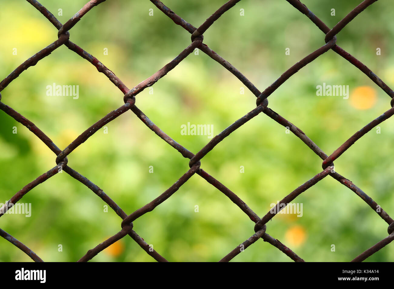 Close-up view of a chain link fence with mowed green field blurred into  background Stock Photo - Alamy