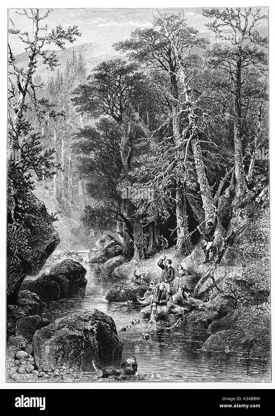 1870: Hunters and dogs on the River Dee runs through tall stands of larch and pine looming high above the rushing water.  Braemar, Aberdeenshire, Scotland Stock Photo