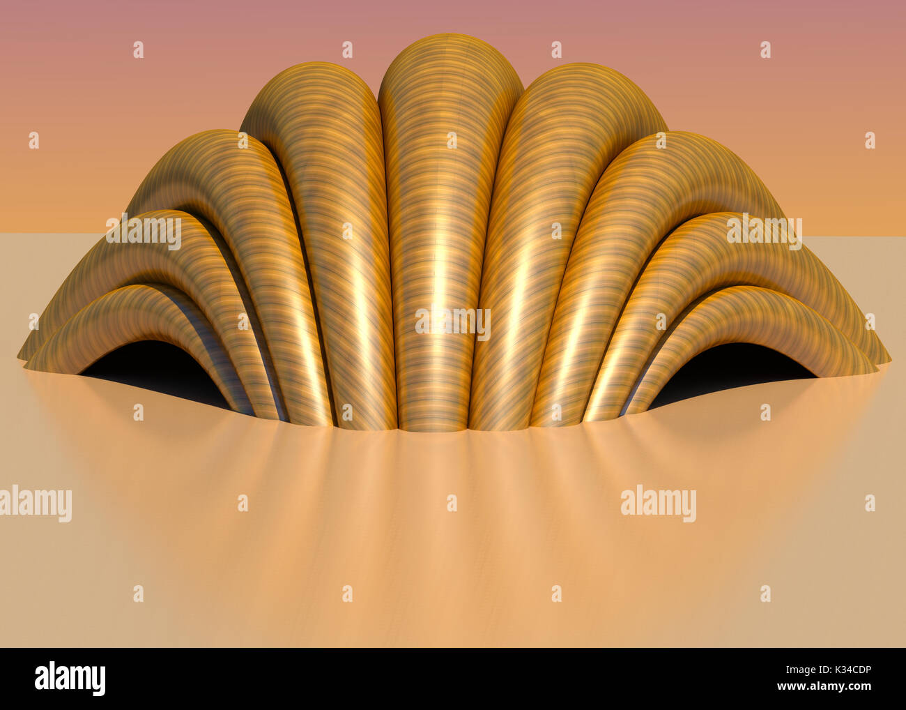 Shell structure hi-res stock photography and images - Alamy