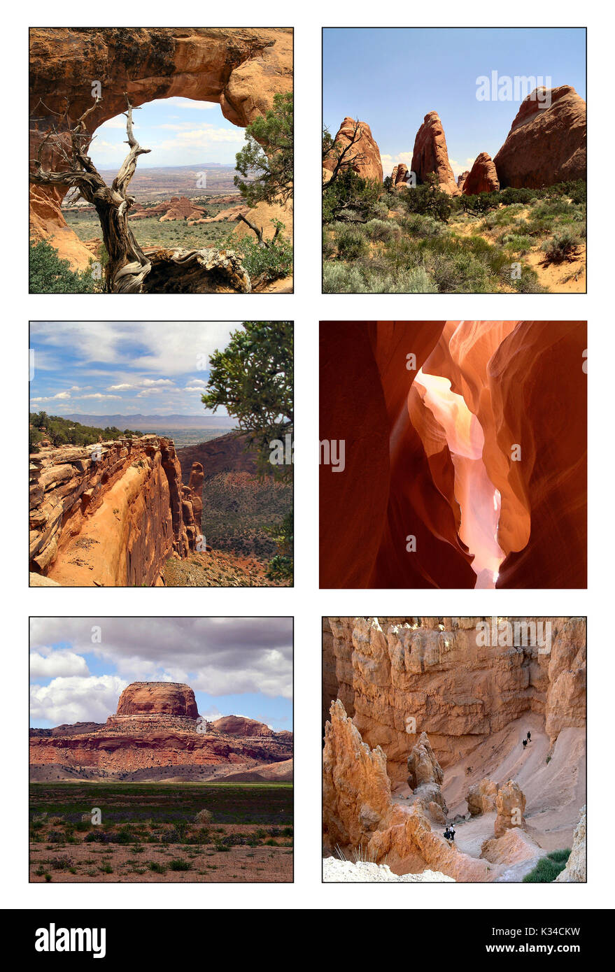 Collage of National Parks in the USA Stock Photo
