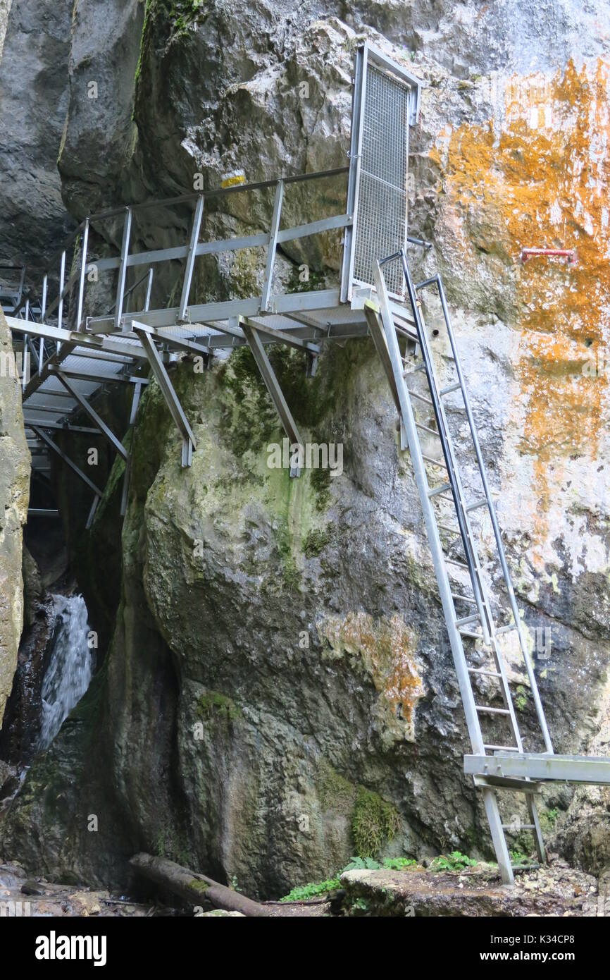Entrance of Seven Ladders Canyon, a mountainous canyon carved by the Șapte Scări Brook in