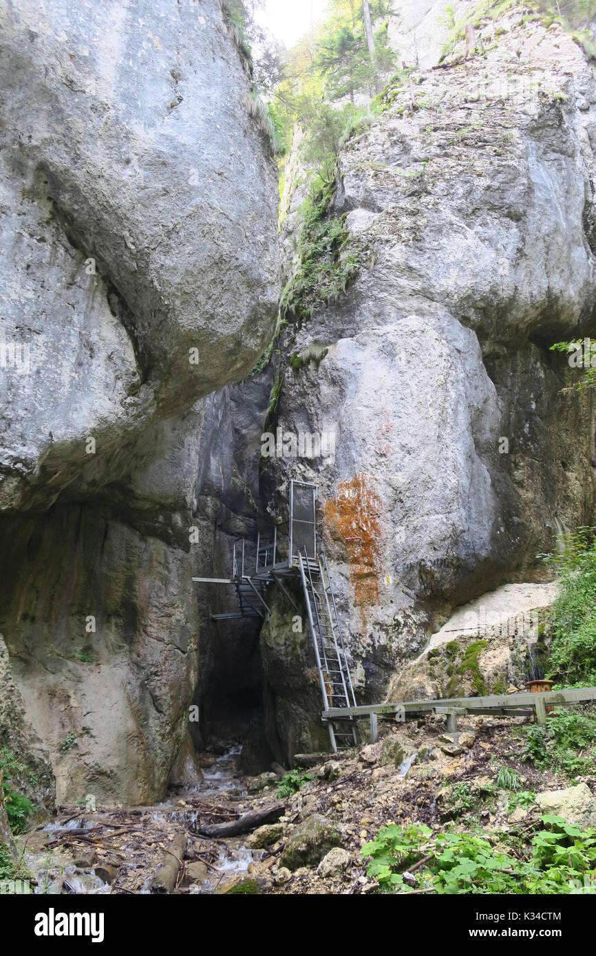 Entrance of Seven Ladders Canyon, a mountainous canyon carved by the Șapte Scări Brook in