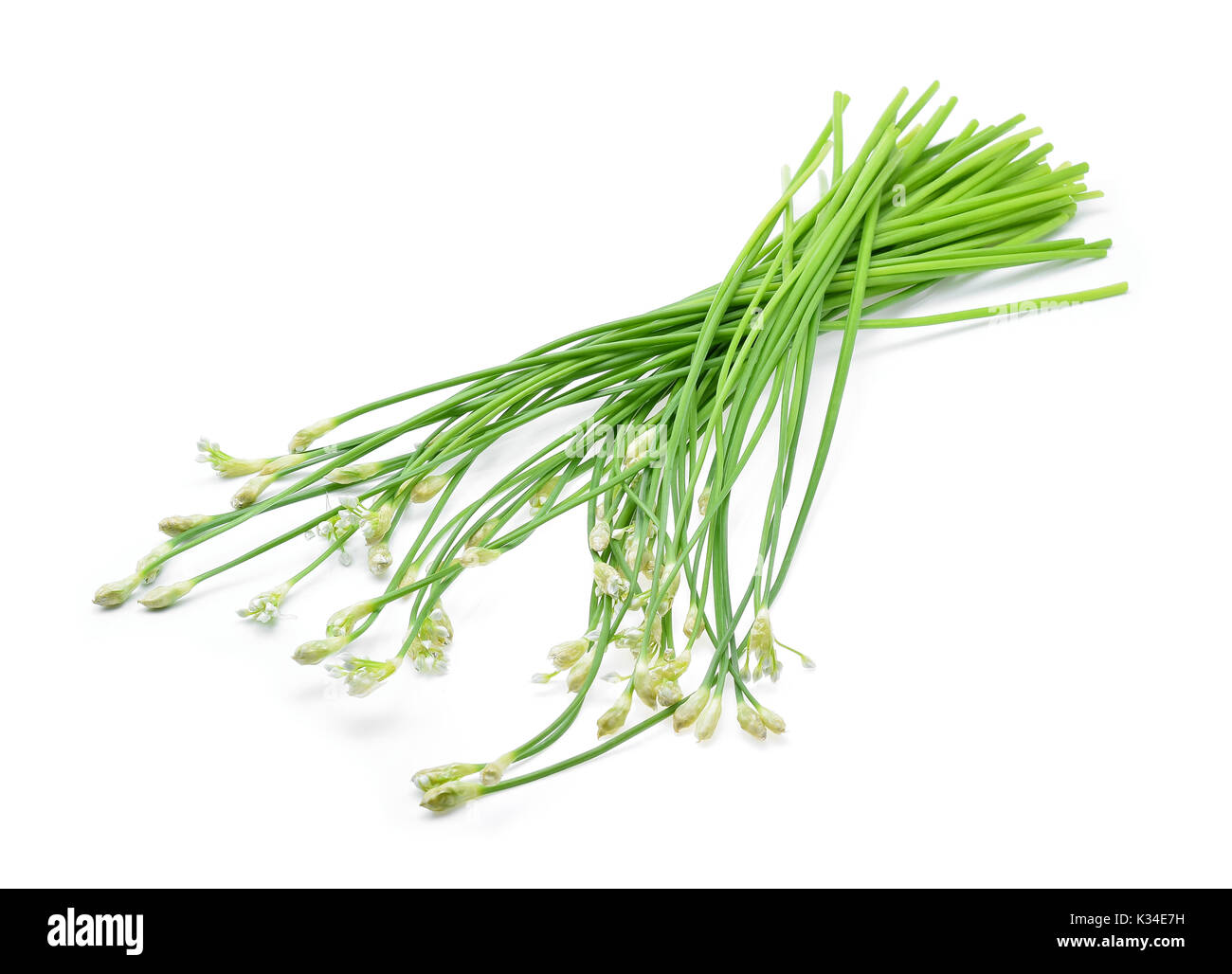 Chinese chives on white background Stock Photo Alamy