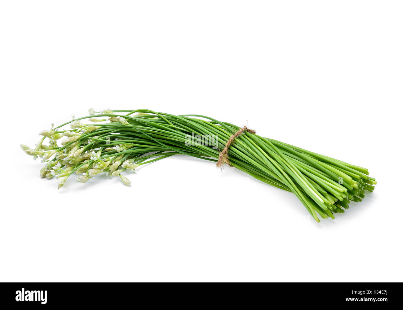Chinese Chive Allium Tuberosum High Resolution Stock Photography and