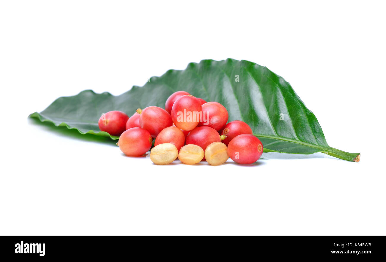 Fresh coffee beans isolated on white background Stock Photo - Alamy