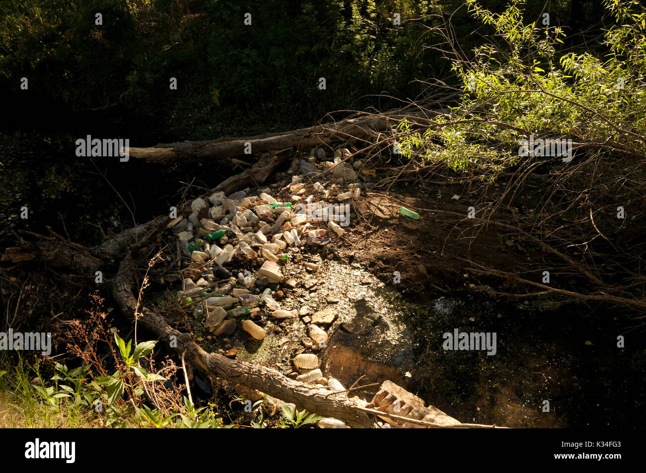 Trash accumulates in a riparian area along the the Santa Cruz River, Tubac, Arizona, USA. The Santa Cruz River is partially fed with reclaimed water. Stock Photo
