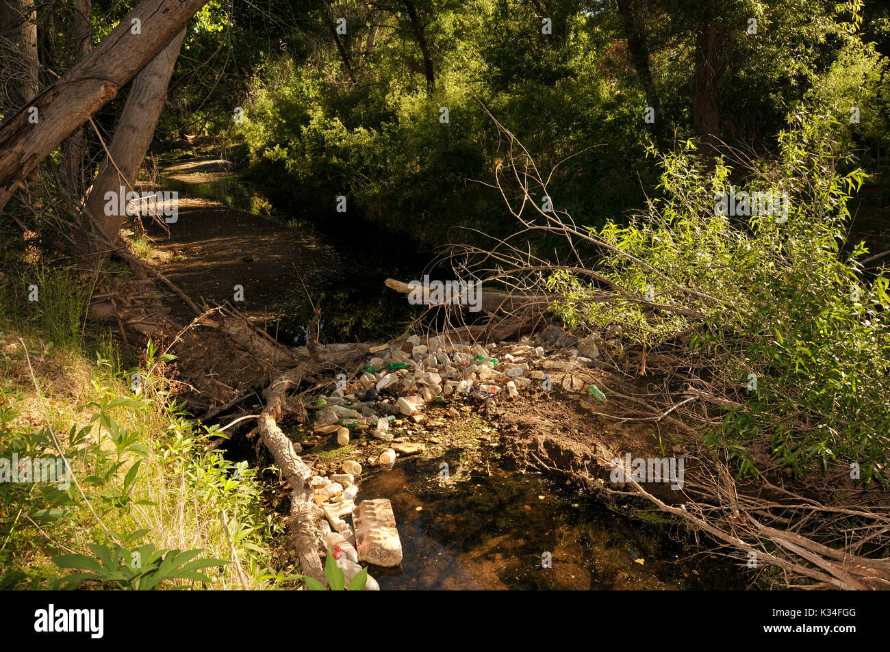Trash accumulates in a riparian area along the the Santa Cruz River, Tubac, Arizona, USA. The Santa Cruz River is partially fed with reclaimed water. Stock Photo