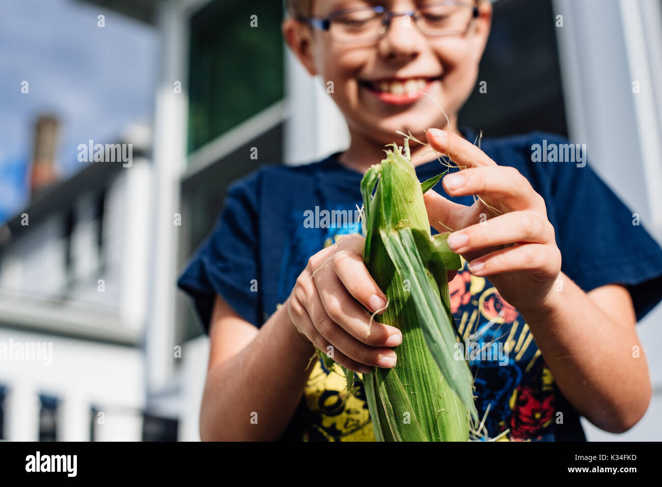 A young boy shucks corn. Stock Photo