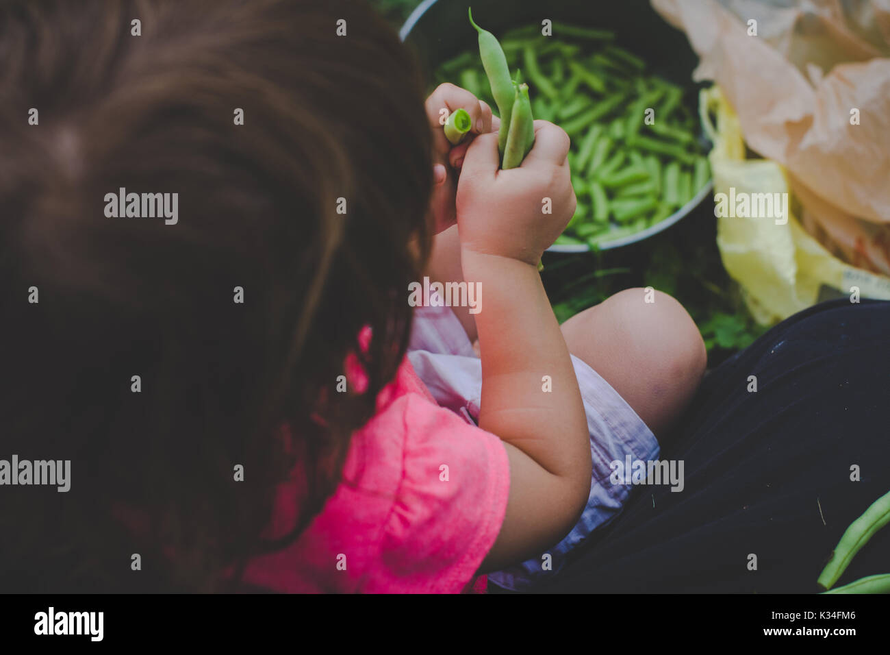 Young girl snaps fresh green beans. Stock Photo