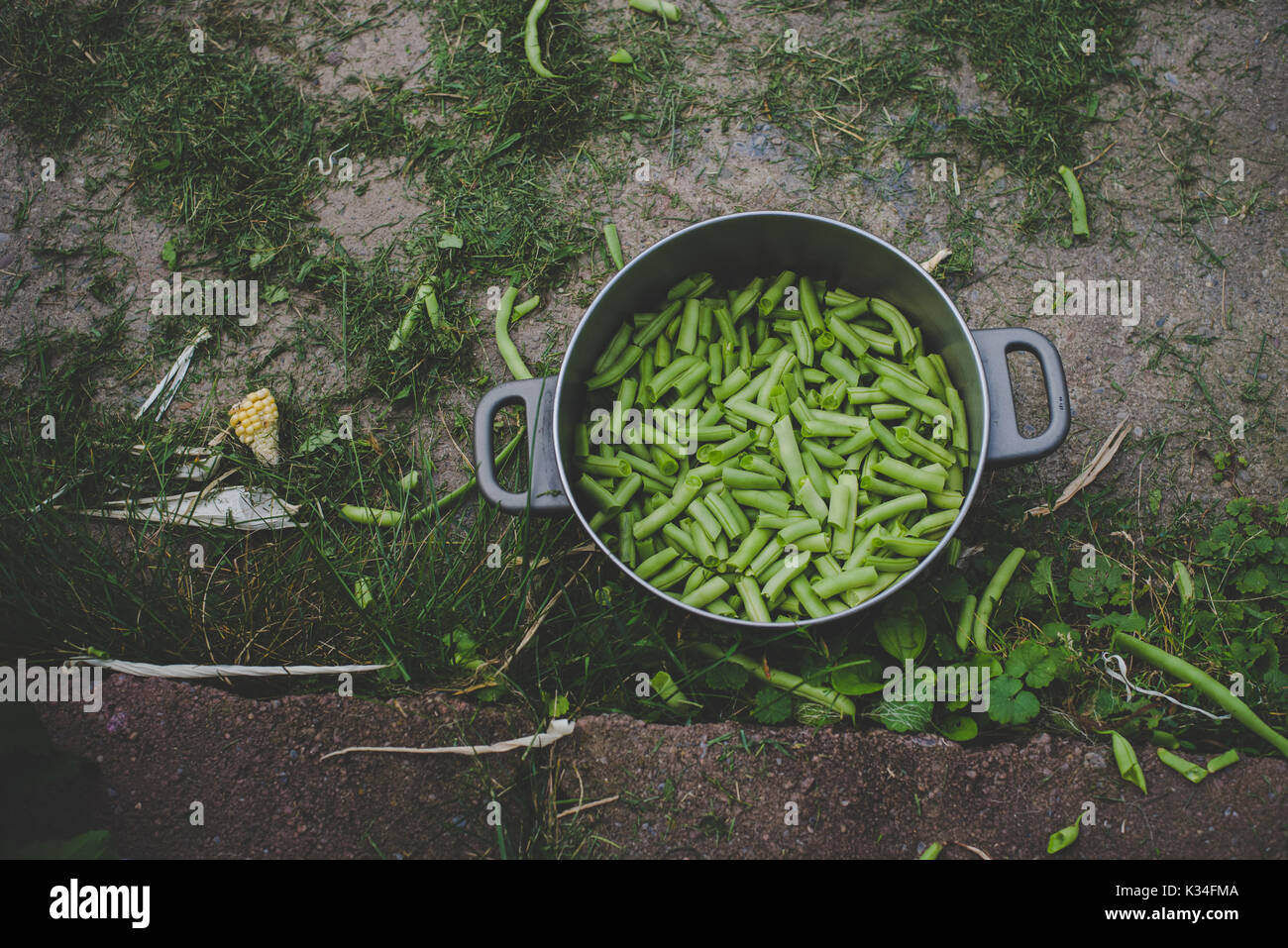 Fresh snapped green beans in a silver pot Stock Photo Alamy
