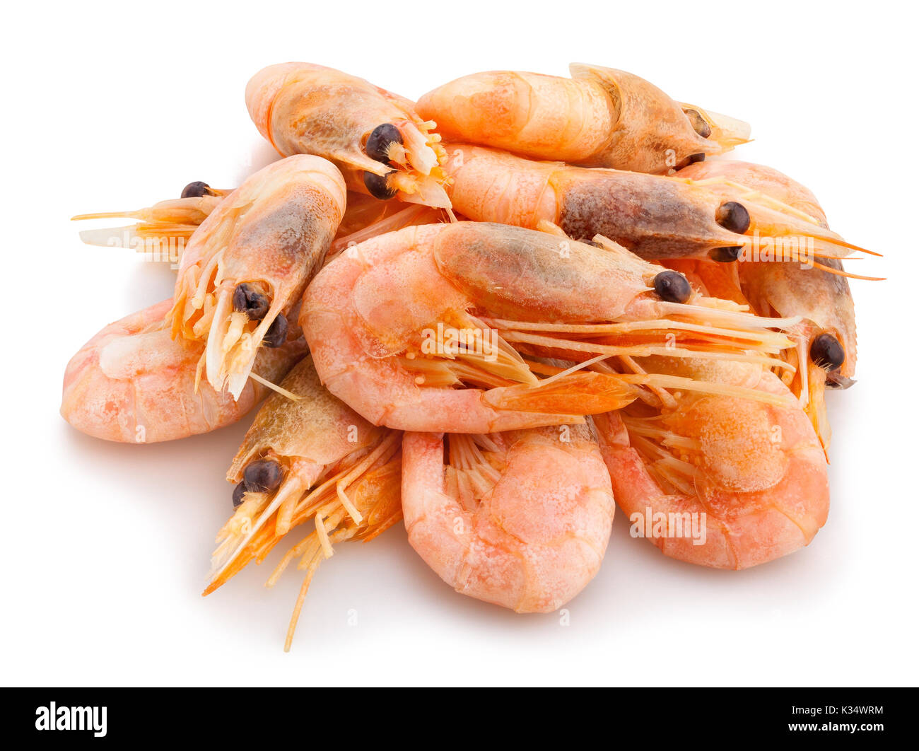 shrimps path isolated Stock Photo