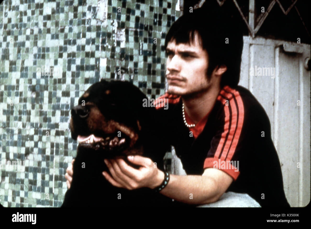 Amores Perros El Chivo