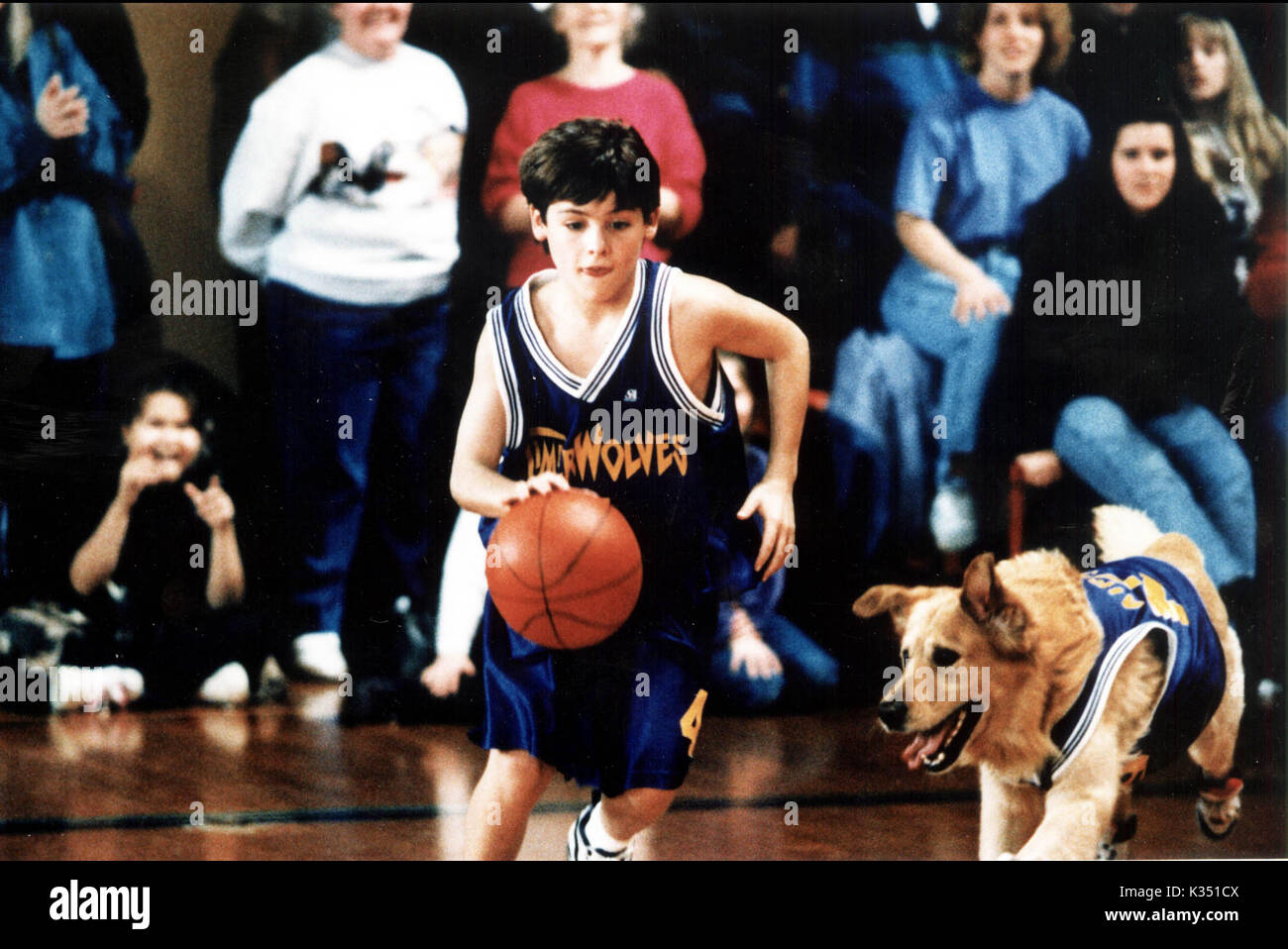 AIR BUD KEVIN ZEGERS     Date: 1997 Stock Photo