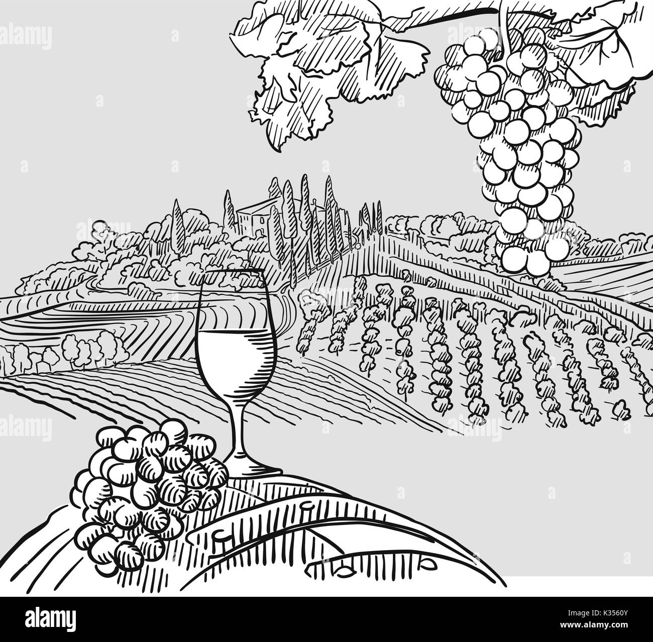 Wine barrel grapes and landscape Illustration. Hand drawn healthy food sketch. Black and White Vector Drawing on Blackboard. Stock Vector