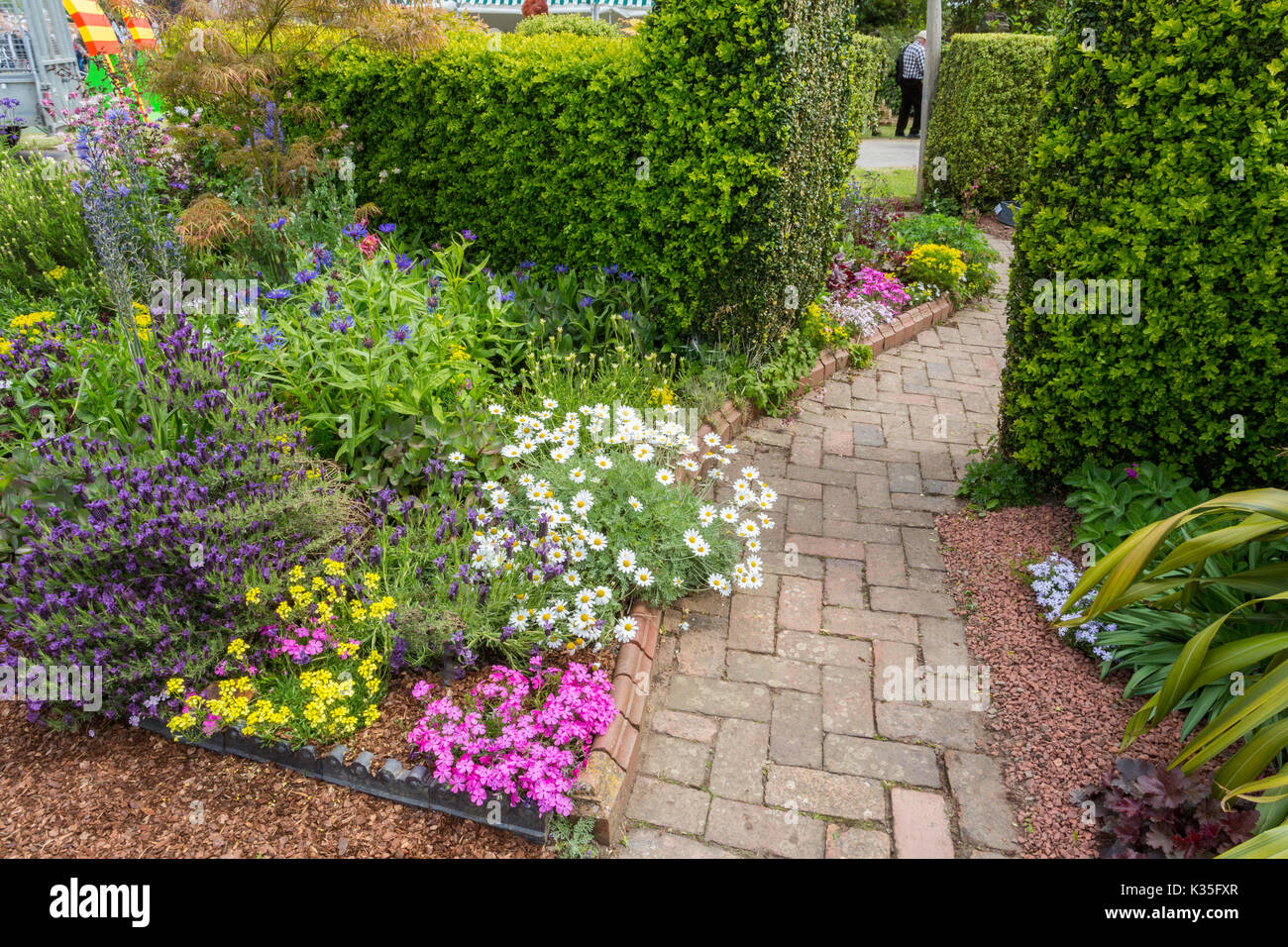 An impressive and colourful display of decorative flowering plants and shrubs at the 2017 RHS