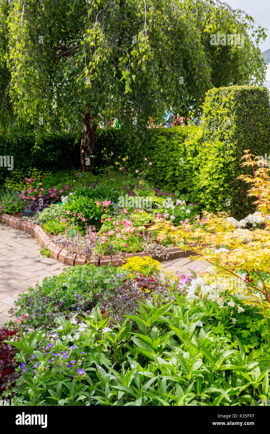 An impressive and colourful display of decorative flowering plants and shrubs at the 2017 RHS