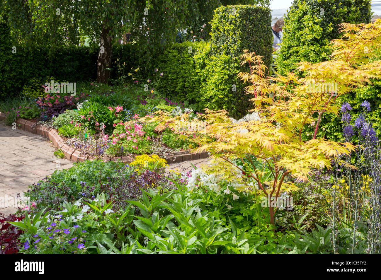 An impressive and colourful display of decorative flowering plants and shrubs at the 2017 RHS