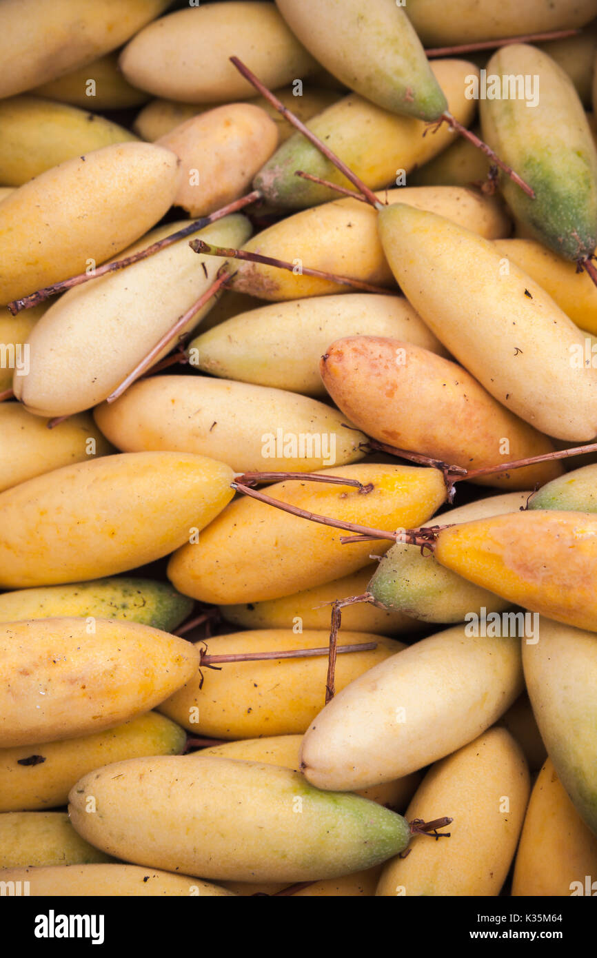Yellow Banana Passion fruits lay on the counter of street food market on Madeira island, Portugal. Close-up photo with selective focus Stock Photo
