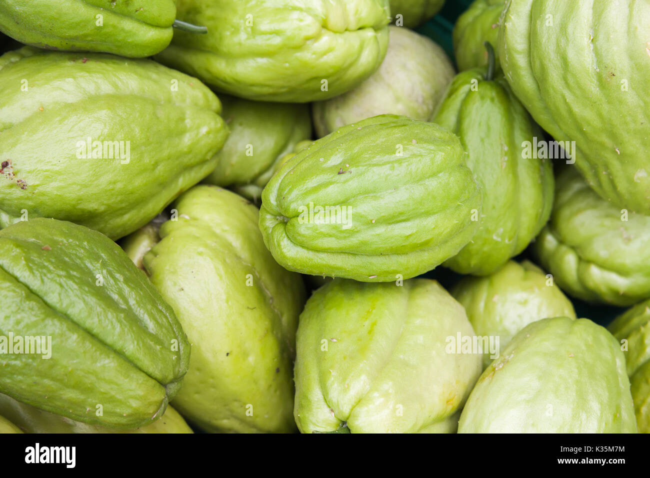 Green Chayote fruits lay on the counter of street food market on Madeira island, Portugal. Close-up photo with selective focus Stock Photo