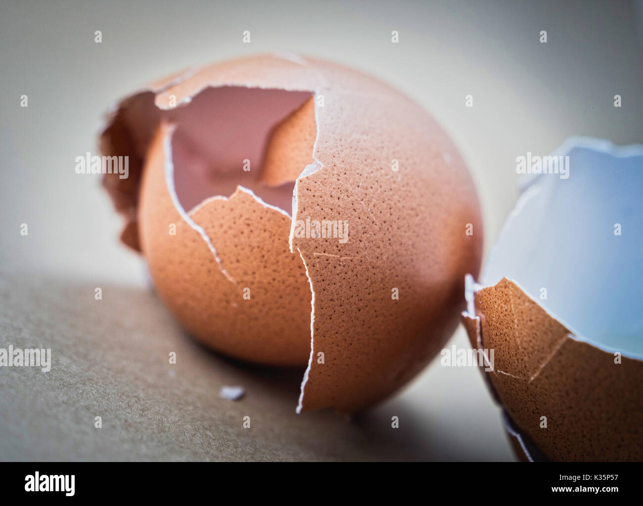 Scattered broken egg shells isolated in white background Stock Photo