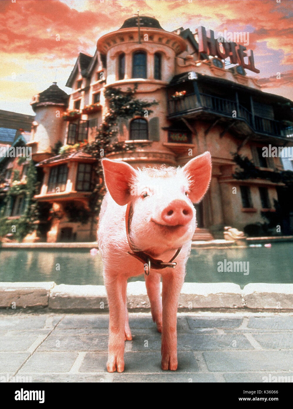 BABE: PIG IN THE CITY KENNEDY MILLER PRODUCTIONS     Date: 1998 Stock Photo