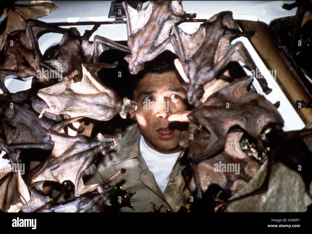 BATS LOU DIAMOND PHILLIPS Date 1999 Stock Photo Alamy