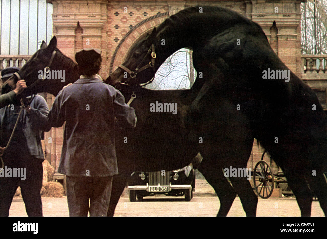 LA BETE aka THE BEAST Date 1975 Stock Photo Alamy