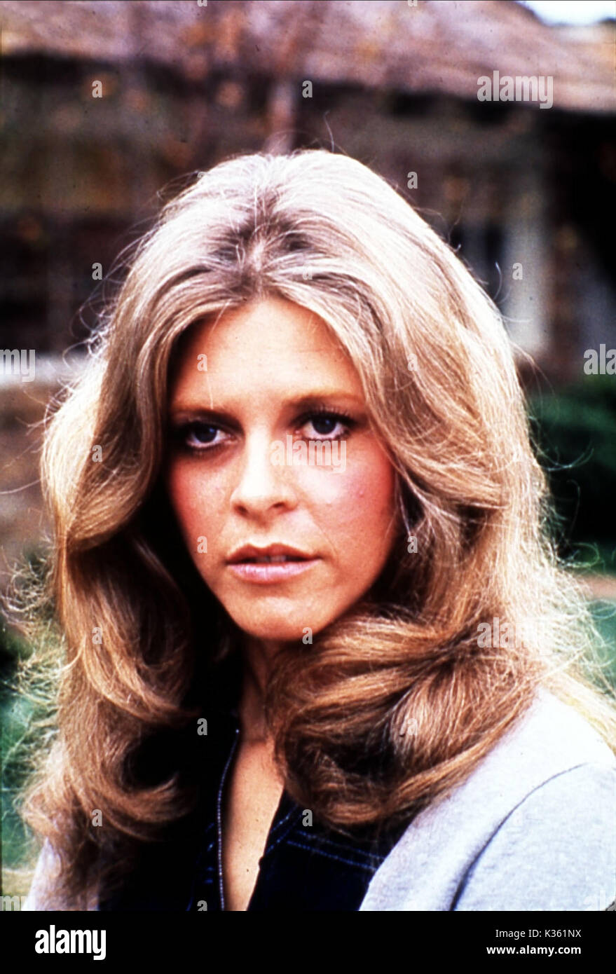 LINDSAY WAGNER The Bionic Woman