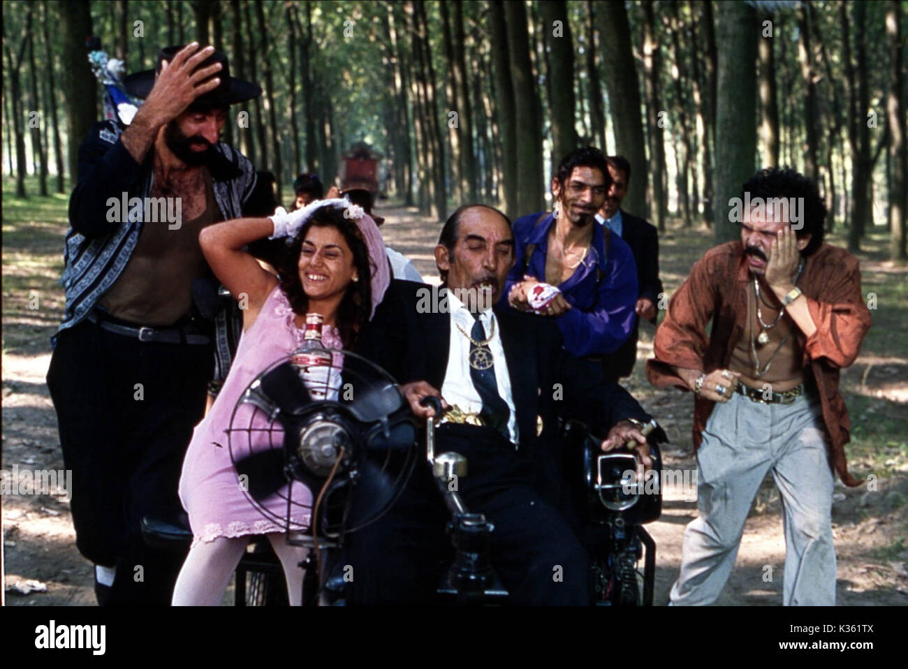 BLACK CAT, WHITE CAT Date 1998 Stock Photo Alamy