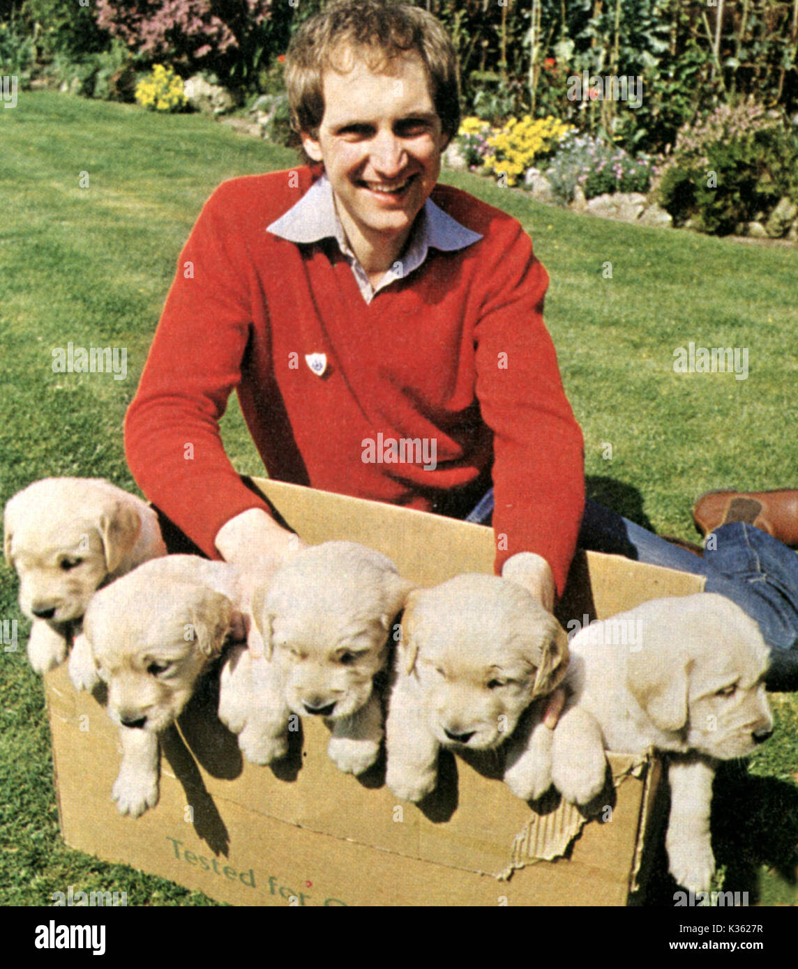 BLUE PETER [TV] [BR 1960 - ]   SIMON GROOME with Goldie's puppies Stock Photo