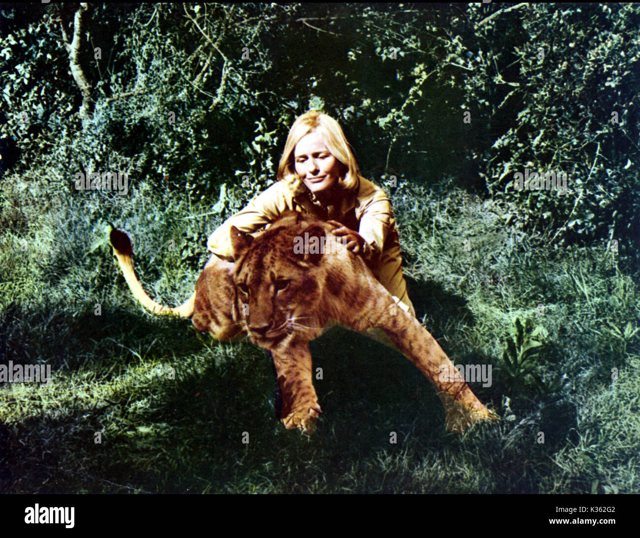 Virginia mckenna born hi-res stock photography and images - Alamy