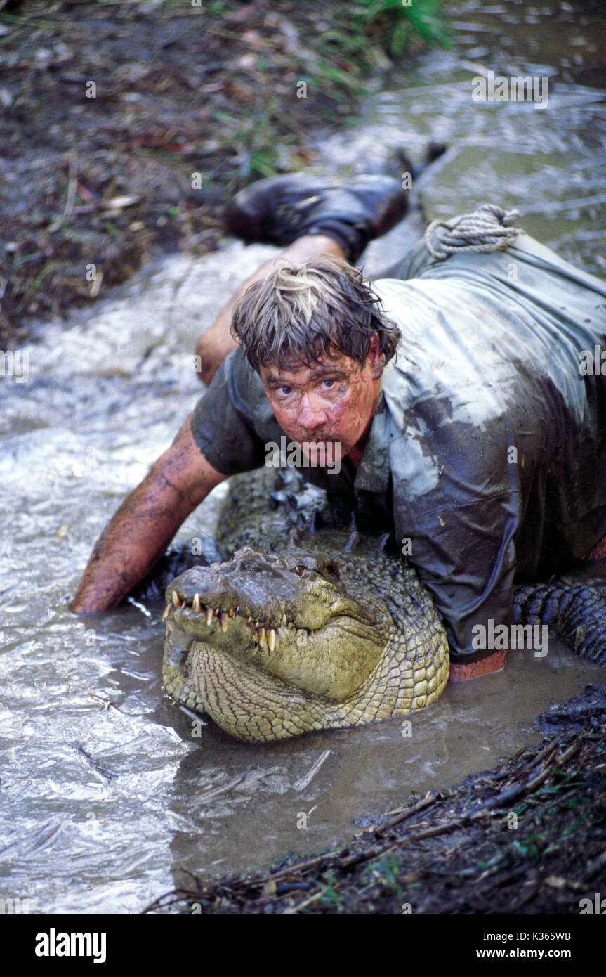 THE CROCODILE HUNTER: COLLISION COURSE STEVE IRWIN tackles a gorgeous 12-foot saltie in the mud in Metro-Goldwyn-Mayer Pictures adventure comedy Photo by: Greg Barrett Stock Photo