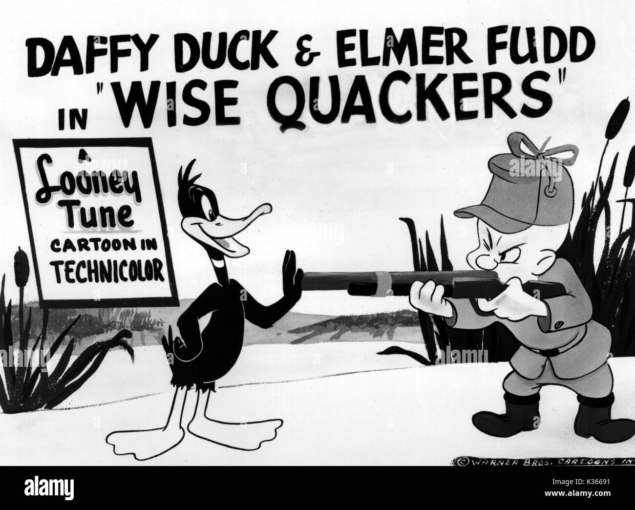 WISE QUACKERS' DAFFY DUCK & ELMER FUDD copyright WARNER BROS Stock
