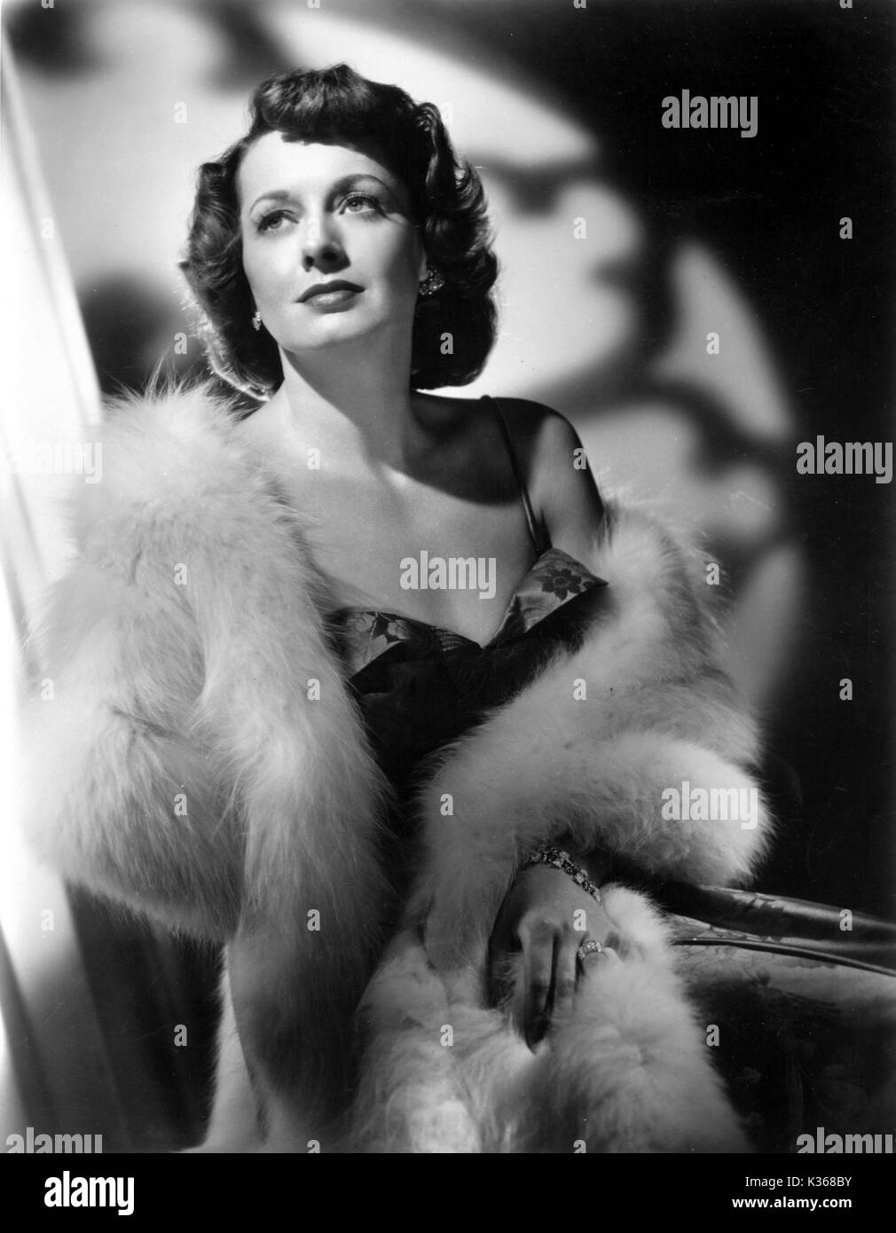 Ellen drew hires stock photography and images Alamy