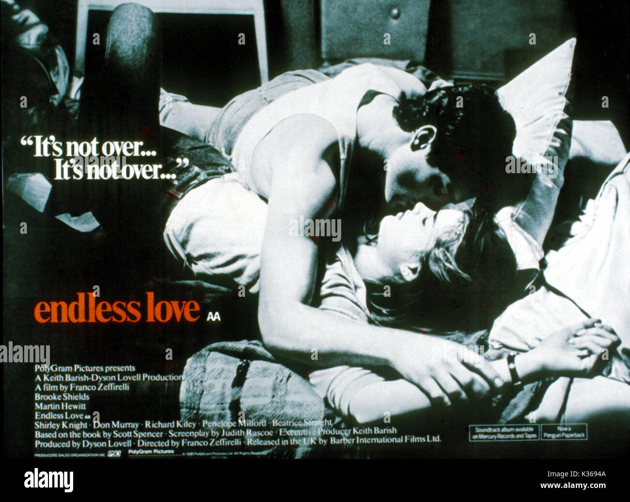 endless love 1981 movie poster