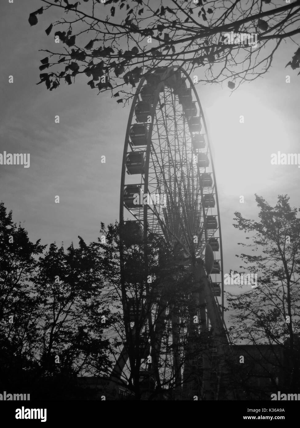 A monochrome image of the Belfast Wheel in the soft diffused evening light of a day in December Stock Photo