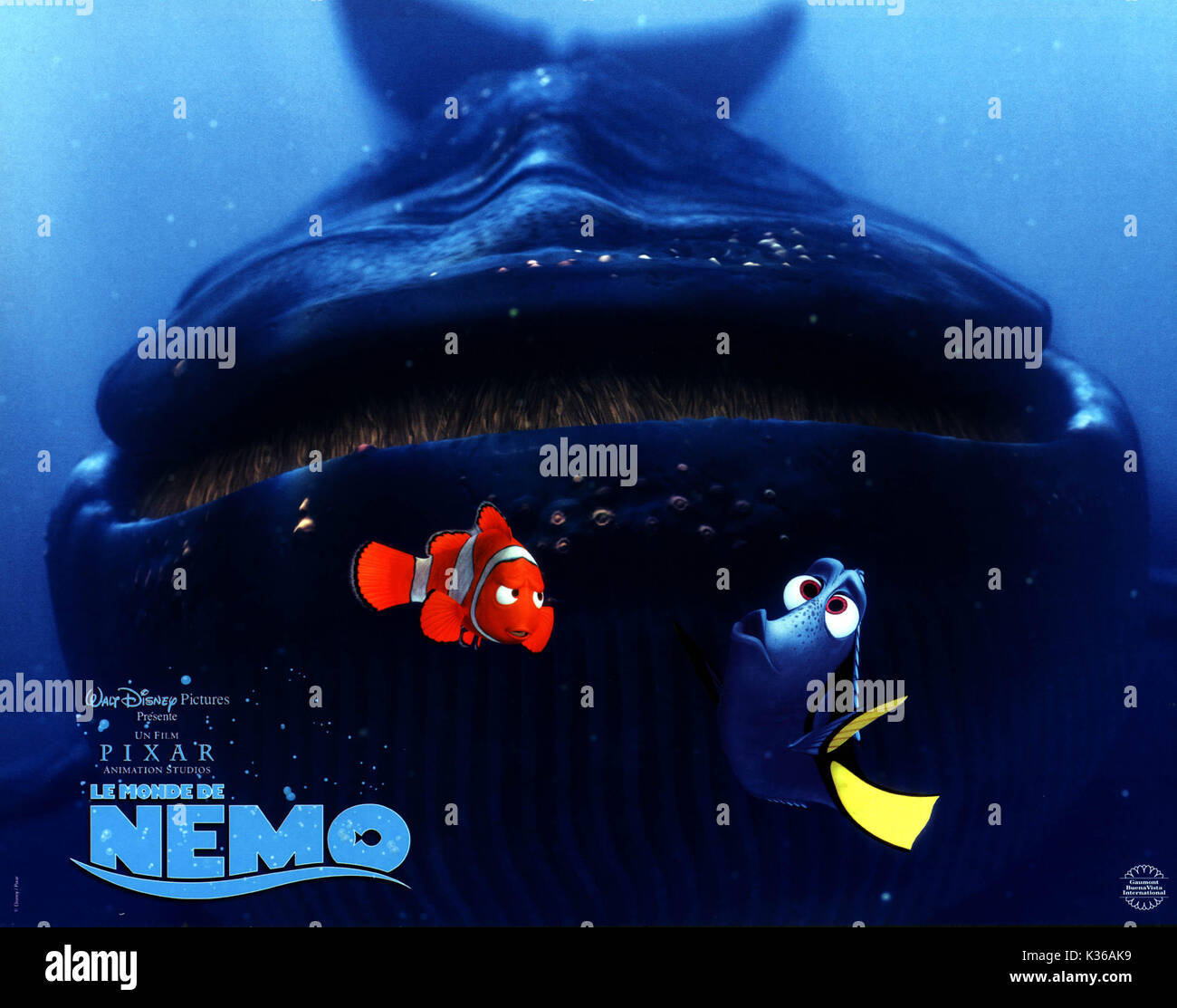 Finding Nemo Marlin And Dory Aand The Whale Please Credit Disneypixar