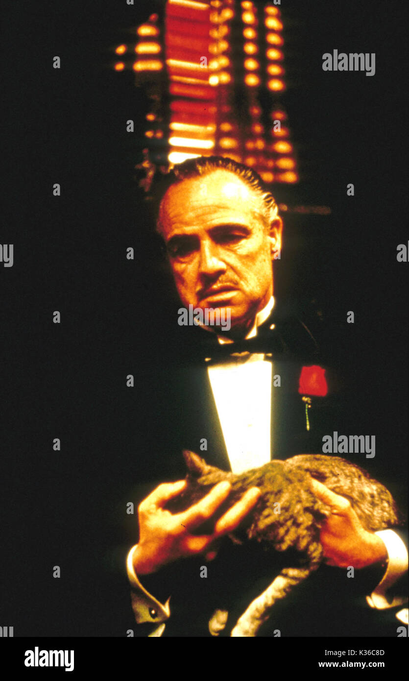 THE GODFATHER MARLON BRANDO as Vito Corleone     Date: 1972 Stock Photo