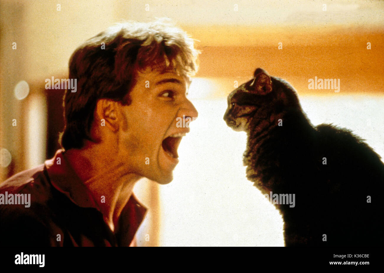 GHOST PARAMOUNT PICTURES PATRICK SWAYZE screaming; shouting; cat     Date: 1990 Stock Photo