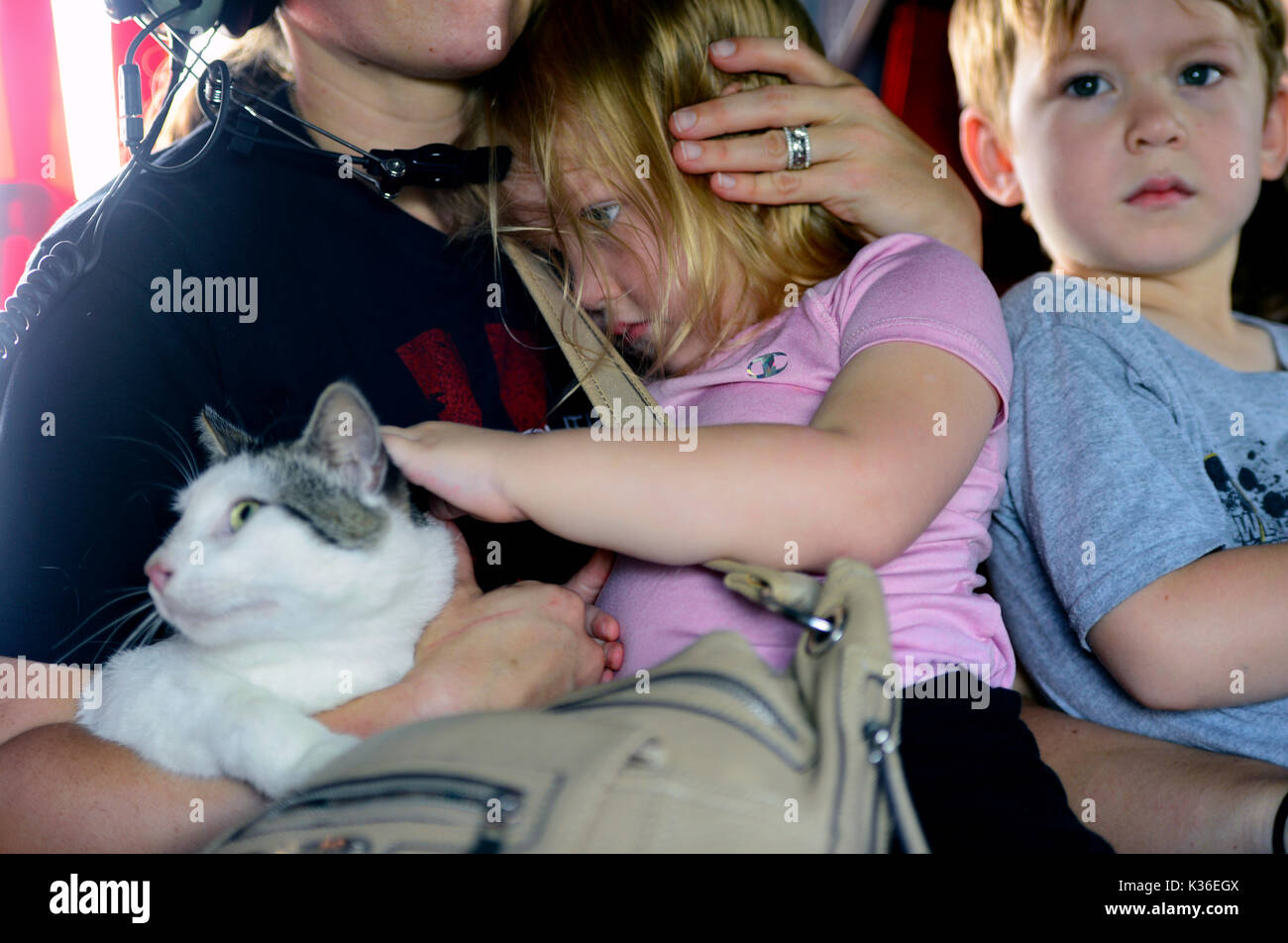 Vidor, United States. 31st Aug, 2017. A young girl pets her cat for comfort during evacuation with her family by U.S. Coast Guard helicopter following evacuation in the aftermath of Hurricane Harvey August 31, 2017 in Vidor, Texas. Credit: Planetpix/Alamy Live News Stock Photo