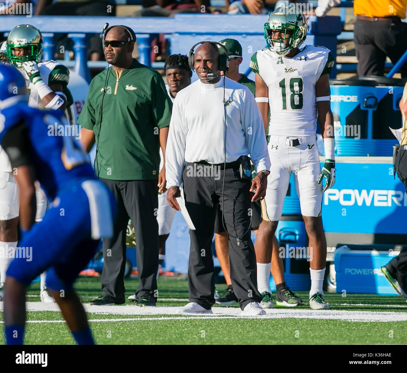 South florida bulls football hi-res stock photography and images - Alamy South florida bulls football hi-res stock photography and images - Alamy