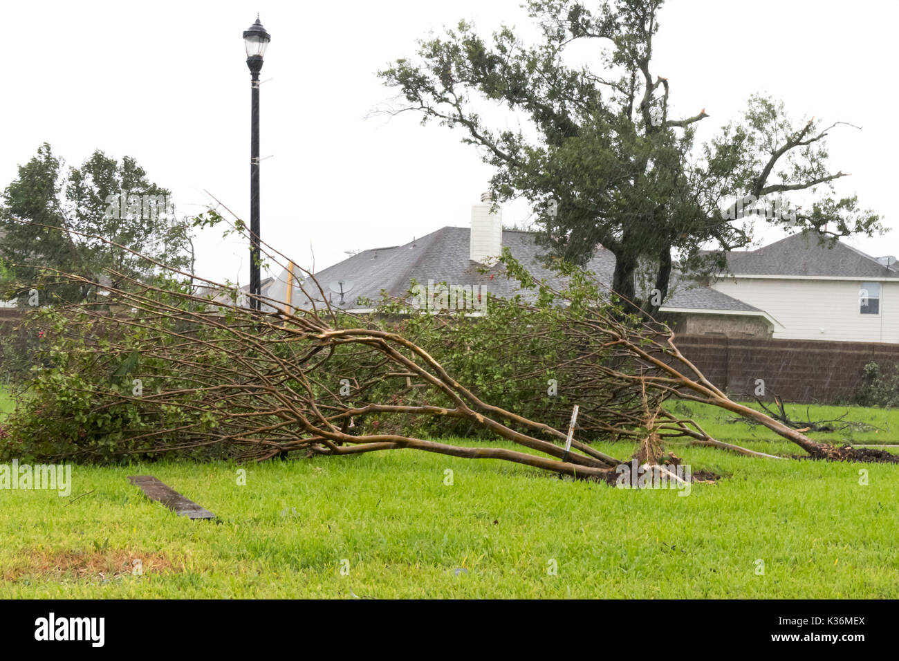 Office building hurricane damage hi-res stock photography and images ...