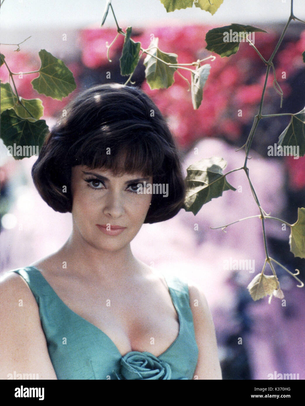 GINA LOLLOBRIGIDA Stock Photo