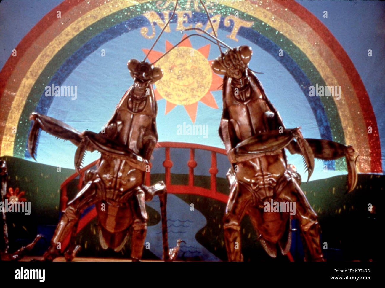 MEET THE APPLEGATES      Date: 1991 Stock Photo