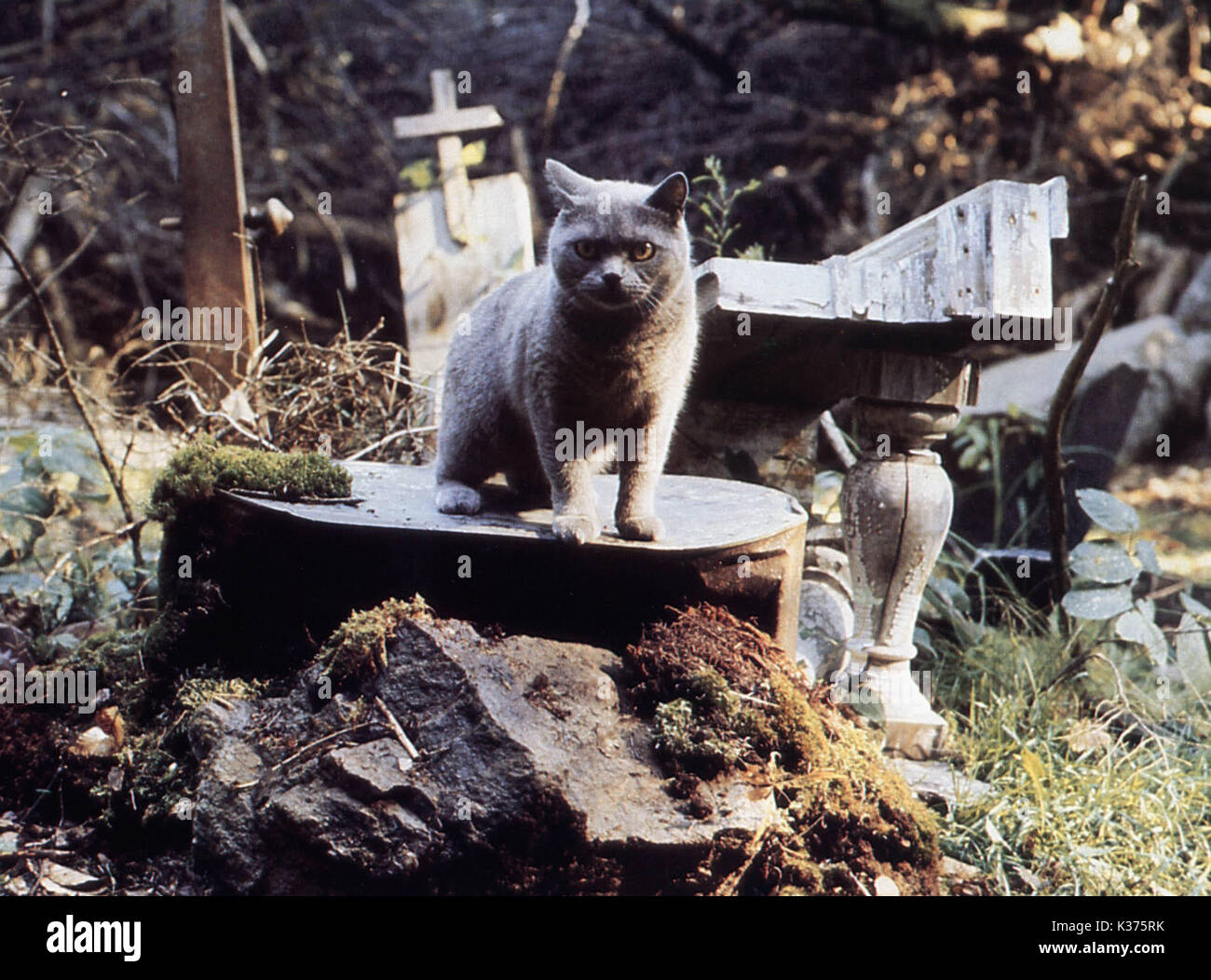 STEPHEN KING'S PET SEMATARY [US 1985]  A PARAMOUNT PICTURE     Date: 1985 Stock Photo