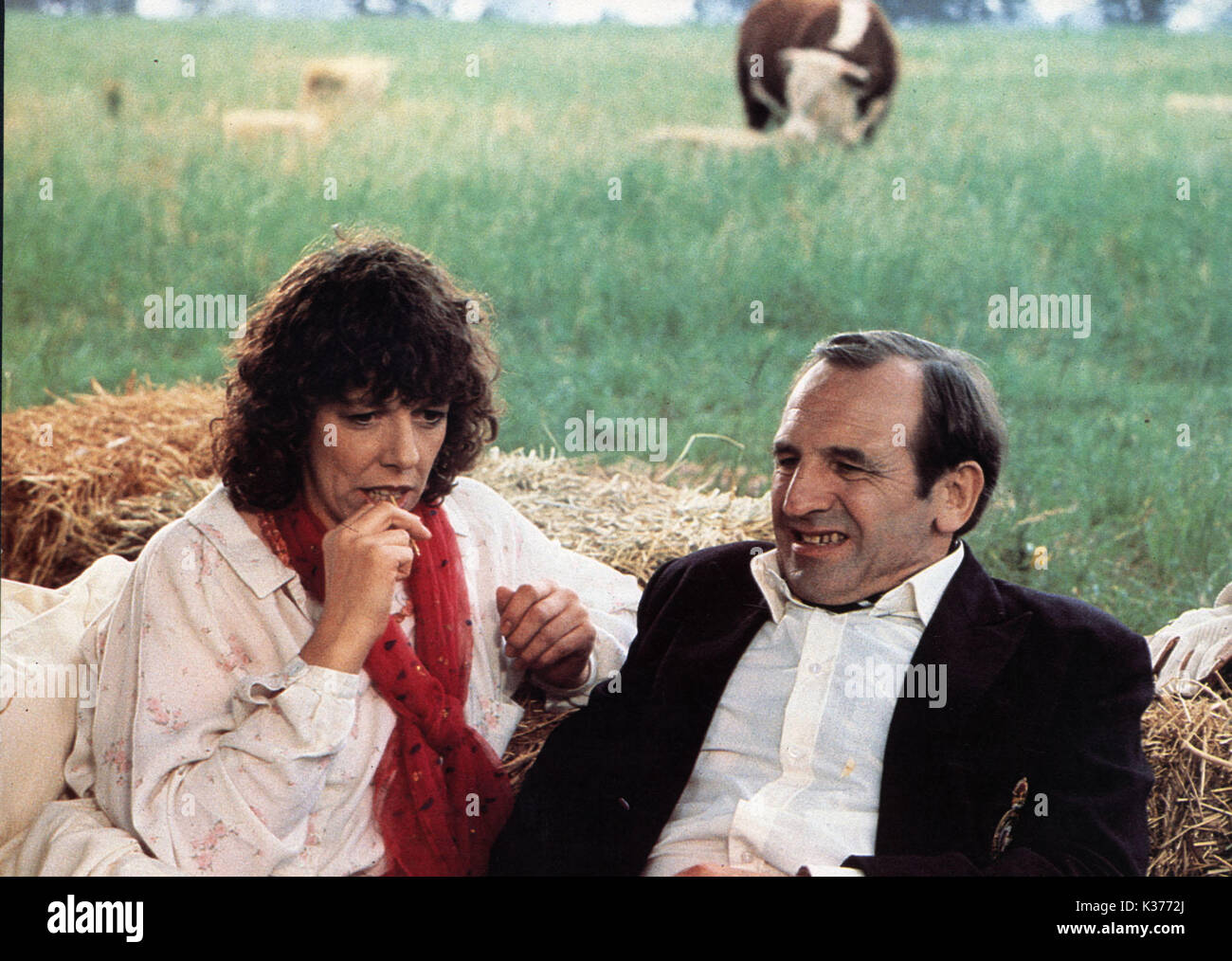 RISING DAMP - THE MOVIE FRANCES DE LA TOUR AND LEONARD ROSSITER AN ITC RELEASE     Date: 1980 Stock Photo