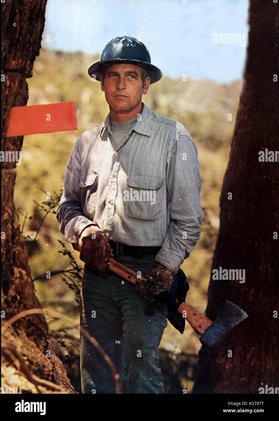 SOMETIMES A GREAT NOTION PAUL NEWMAN A NEWMAN - FOREMAN PICTURE Stock Photo