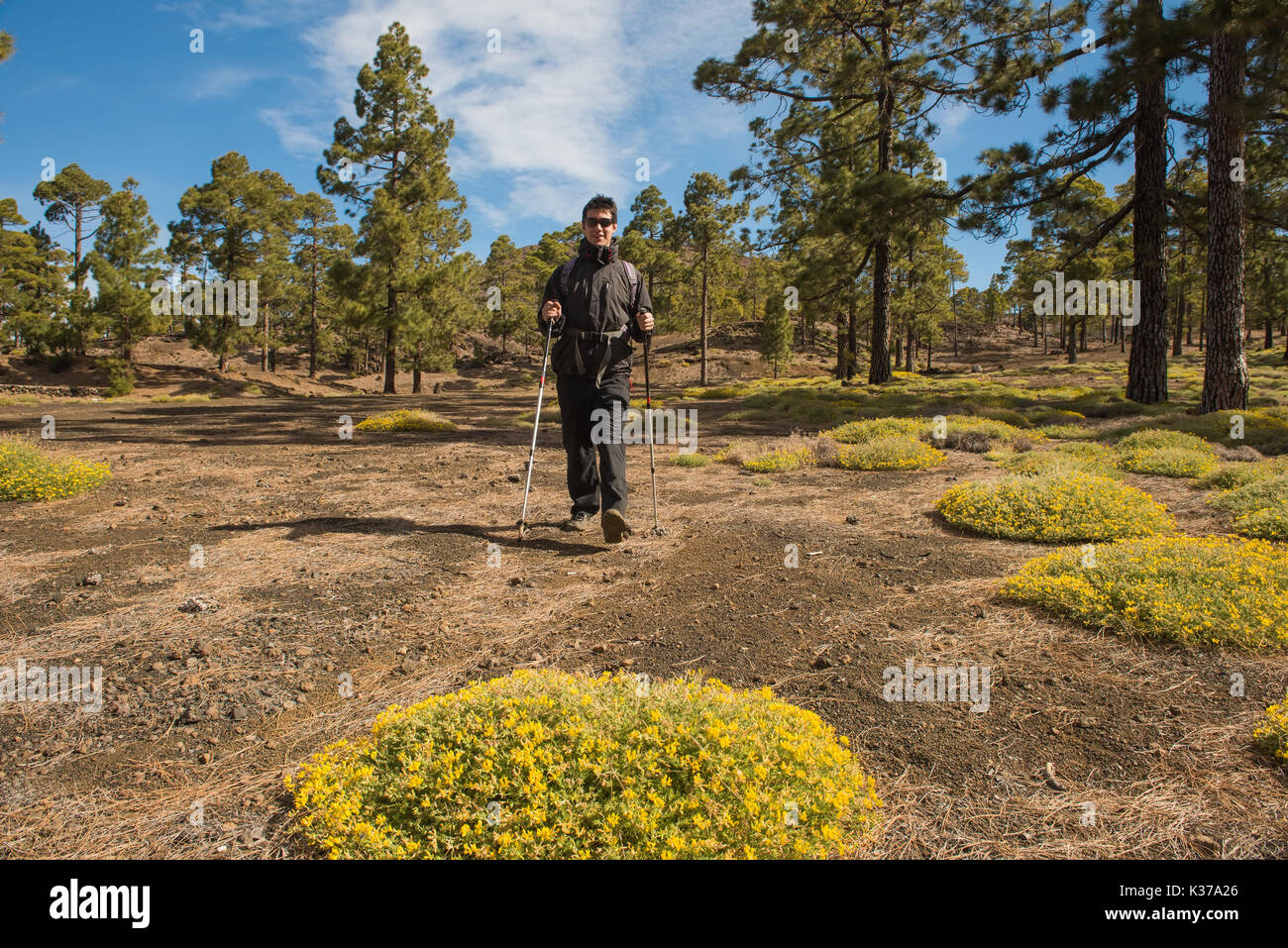 Hiker man in forest hi-res stock photography and images - Alamy