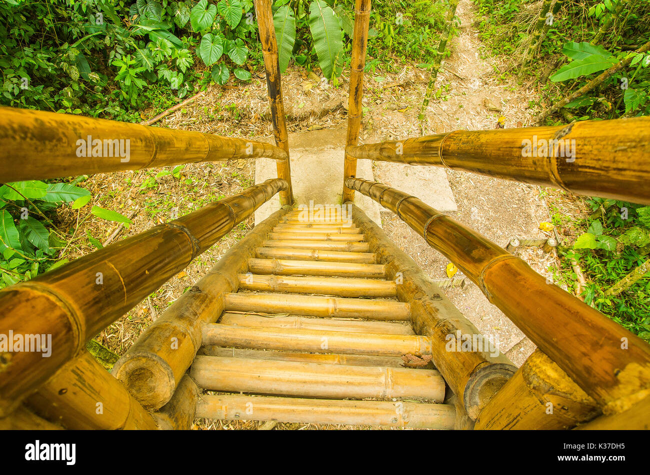 Beautiful and ecological stairs made of cane guadua in Mindo recreation place, in western Ecuador, at 1,400m elevation in Mindo, Pichincha Stock Photo